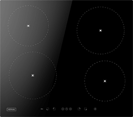 Induktionsfeld Reparatur Güstrow